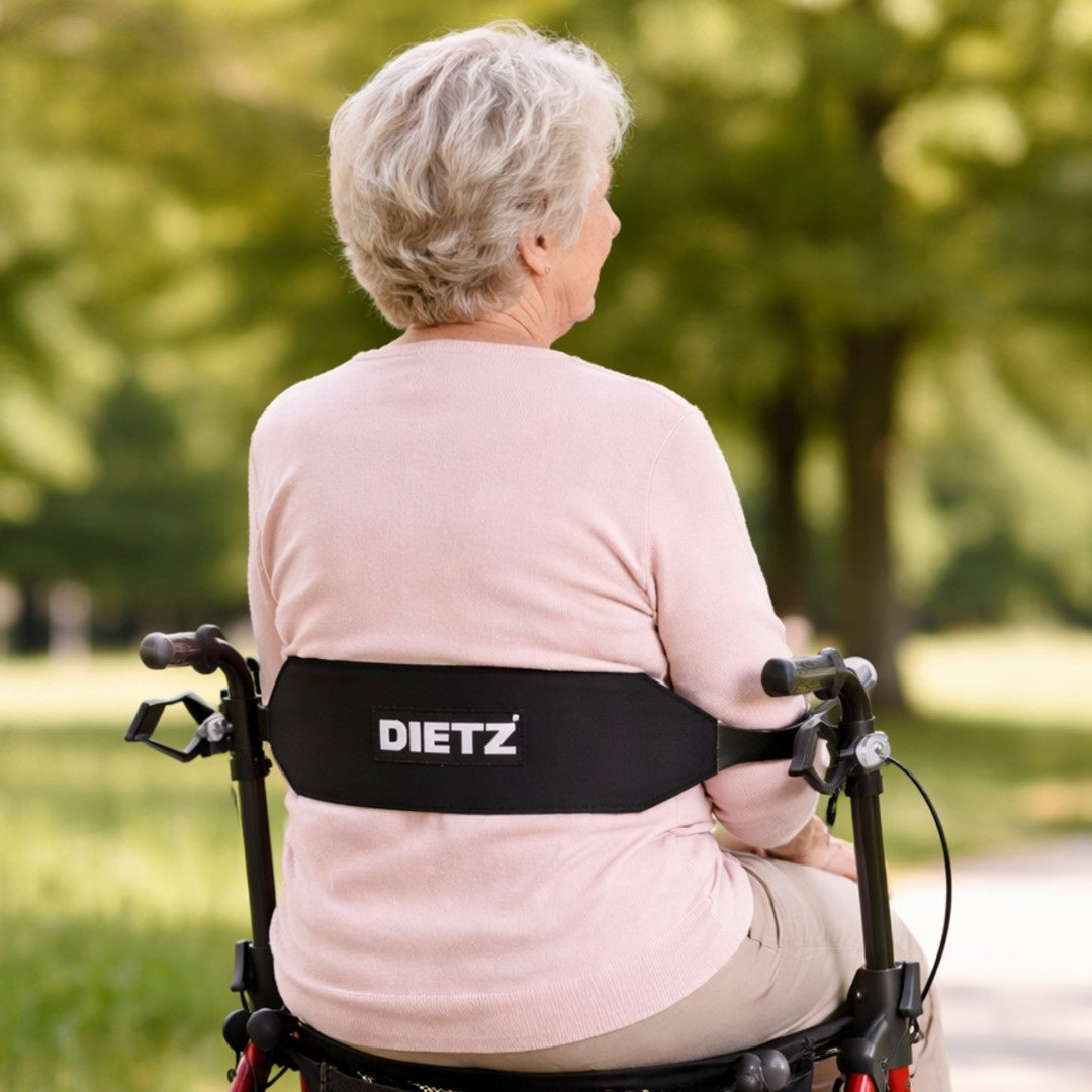Dietz Comfort Back Support for Taima XC
